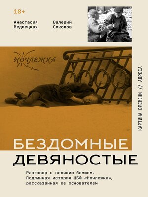 cover image of Бездомные девяностые. Разговор с великим бомжом. Подлинная история ЦБФ "Ночлежка", рассказанная ее основателем